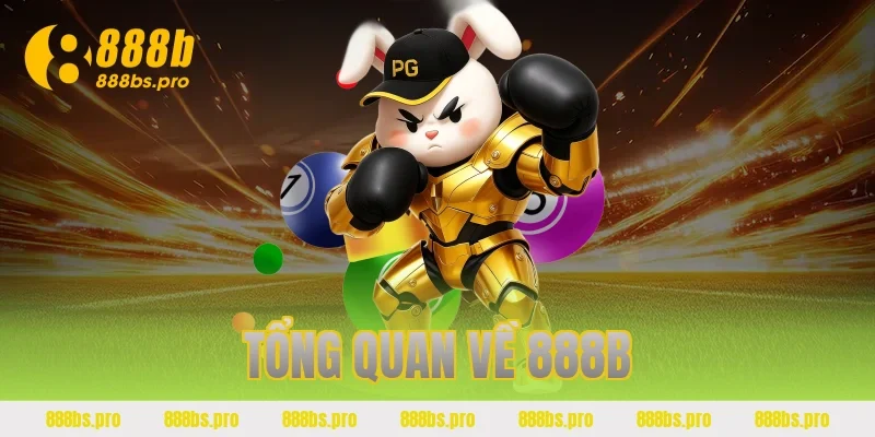 Tổng quan về 888B
